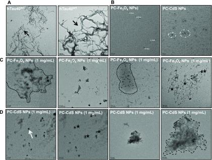 https://cdn.ncbi.nlm.nih.gov/pmc/blobs/22f5/6682074/fe5140bef4c5/ao-2019-01411b_0003.jpg