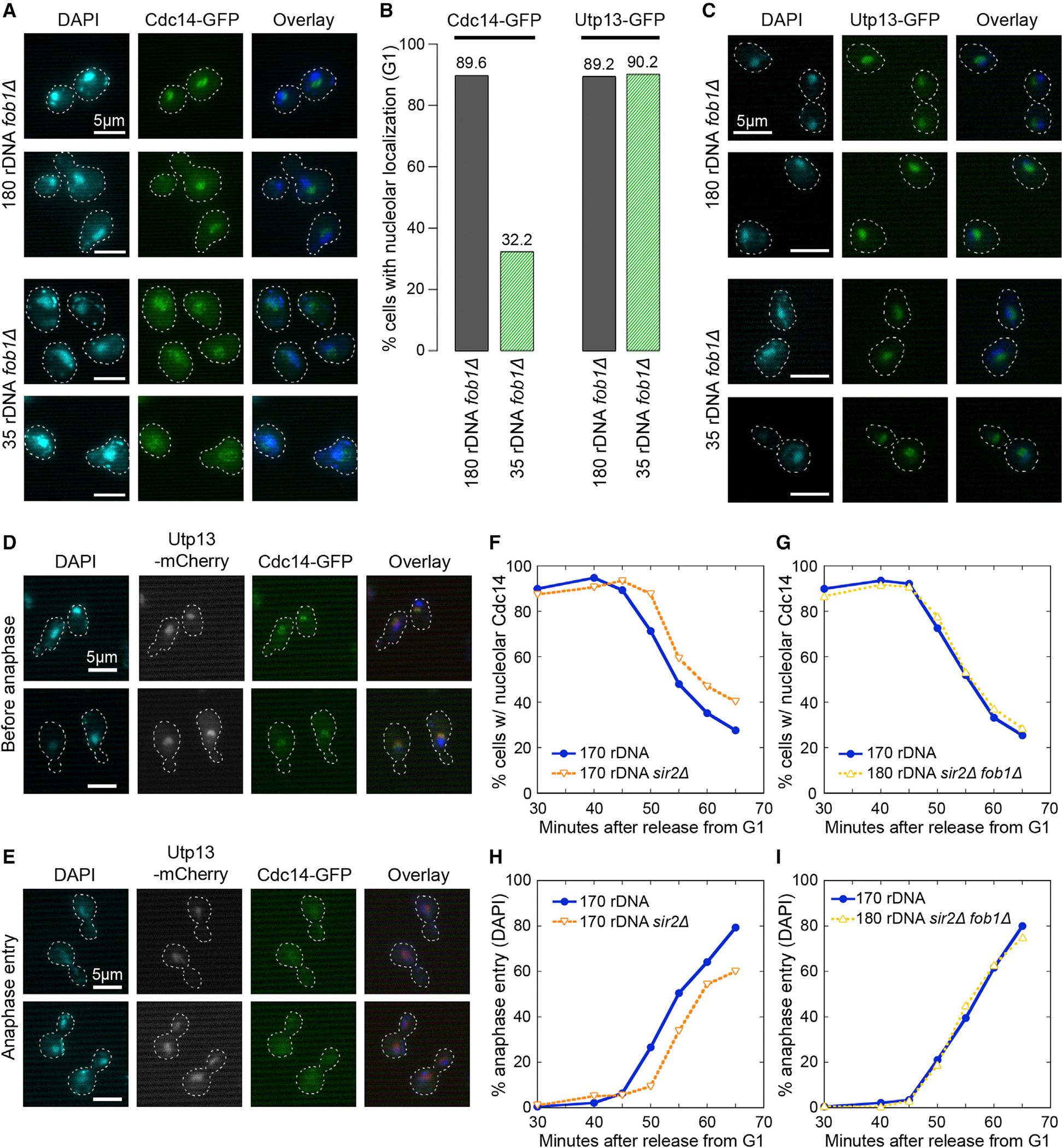 https://cdn.ncbi.nlm.nih.gov/pmc/blobs/22f9/10142053/2b890a576e1f/nihms-1887269-f0006.jpg
