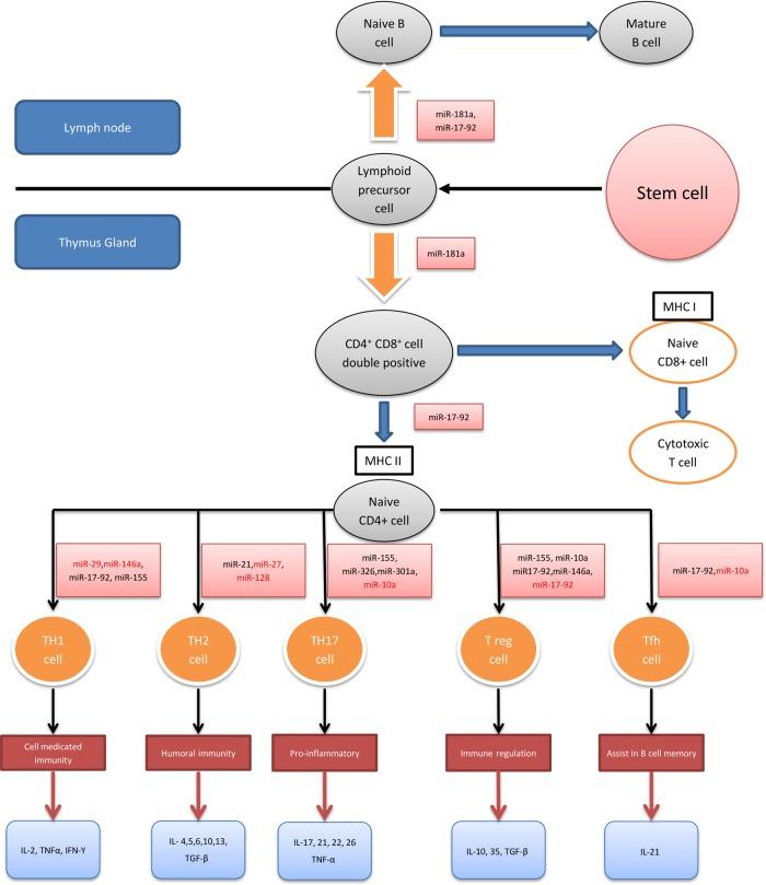 https://cdn.ncbi.nlm.nih.gov/pmc/blobs/22f9/4345829/3913a0b881ef/gutjnl-2014-307891f04.jpg