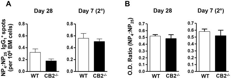 https://cdn.ncbi.nlm.nih.gov/pmc/blobs/22fb/3695093/cdf3837cdf81/pone.0067587.g004.jpg