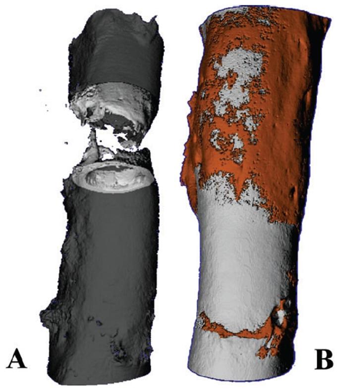 https://cdn.ncbi.nlm.nih.gov/pmc/blobs/22ff/3236208/8a58cf04984d/pone.0028702.g008.jpg