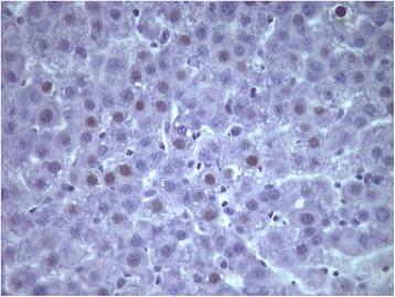 https://cdn.ncbi.nlm.nih.gov/pmc/blobs/2301/4267430/7db7f0741b5d/12876_2014_201_Fig9_HTML.jpg