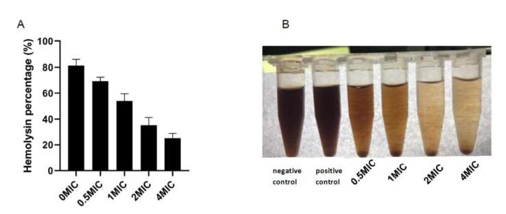 https://cdn.ncbi.nlm.nih.gov/pmc/blobs/2305/10096342/521a391f8ae0/molecules-28-03102-g003.jpg