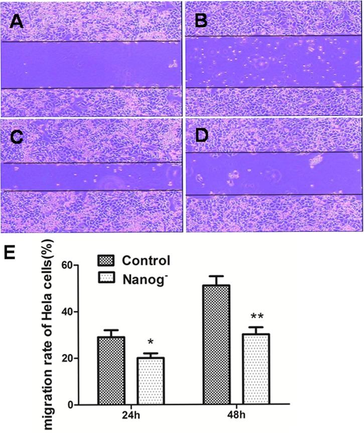 https://cdn.ncbi.nlm.nih.gov/pmc/blobs/2305/4226691/98ab43af478a/oncotarget-05-8393-g003.jpg