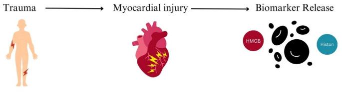 https://cdn.ncbi.nlm.nih.gov/pmc/blobs/2308/12041082/97867b77b9bf/68_2025_2866_Fig2_HTML.jpg