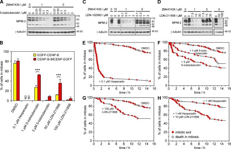 https://cdn.ncbi.nlm.nih.gov/pmc/blobs/2308/3471242/9099becfb2a7/JCB_201205106_Fig7.jpg