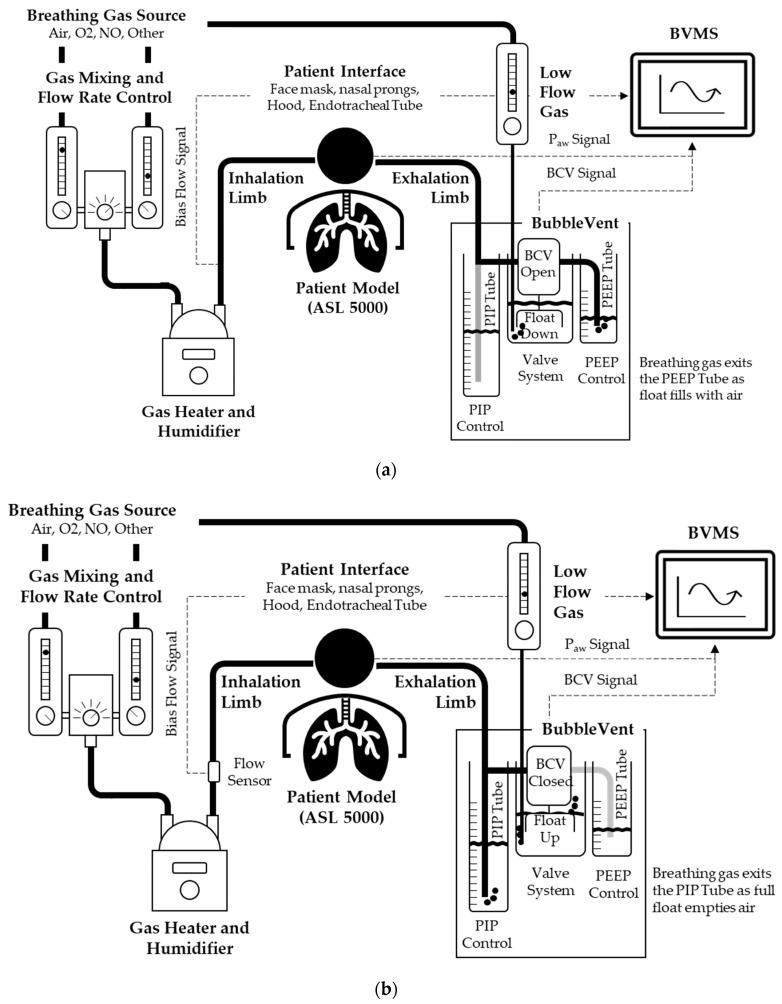 https://cdn.ncbi.nlm.nih.gov/pmc/blobs/230d/9027535/36fbf76ee62c/bioengineering-09-00151-g001.jpg