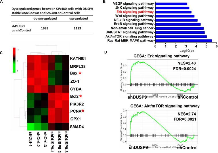 https://cdn.ncbi.nlm.nih.gov/pmc/blobs/2311/7538709/1680169690f0/fonc-10-547011-g006.jpg