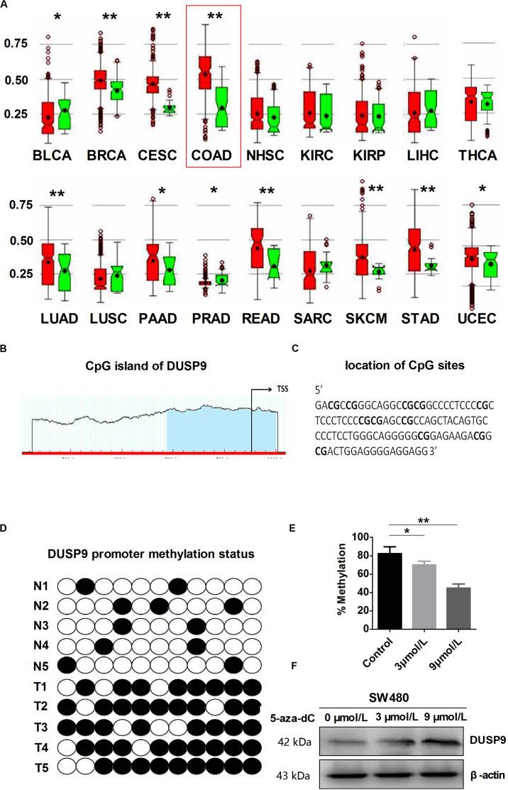https://cdn.ncbi.nlm.nih.gov/pmc/blobs/2311/7538709/669dd29e8316/fonc-10-547011-g002.jpg