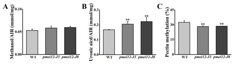 https://cdn.ncbi.nlm.nih.gov/pmc/blobs/2311/9784561/fbd8caf8786f/ijms-23-16082-g007a.jpg
