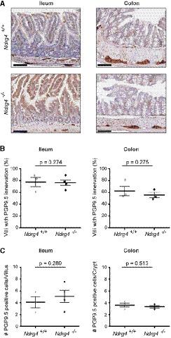 https://cdn.ncbi.nlm.nih.gov/pmc/blobs/2313/8183412/616fc9627301/EMBR-22-e51913-g001.jpg