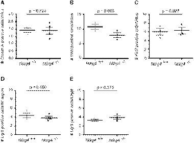 https://cdn.ncbi.nlm.nih.gov/pmc/blobs/2313/8183412/b4e2da95e233/EMBR-22-e51913-g009.jpg
