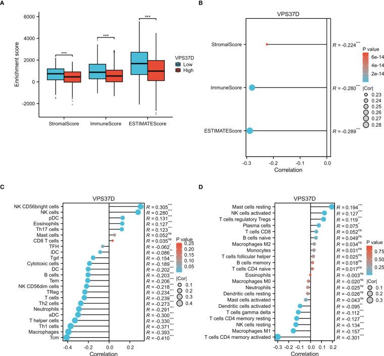 https://cdn.ncbi.nlm.nih.gov/pmc/blobs/2317/11994712/75ff29223213/fimmu-16-1531940-g009.jpg