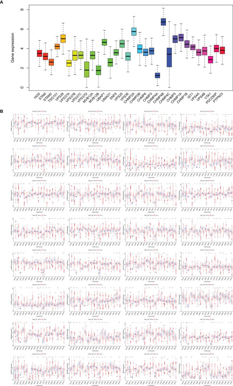 https://cdn.ncbi.nlm.nih.gov/pmc/blobs/2317/11994712/86fa0f65ee11/fimmu-16-1531940-g002.jpg