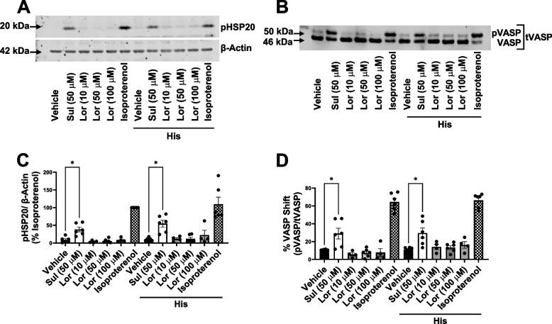 https://cdn.ncbi.nlm.nih.gov/pmc/blobs/2318/12076885/02f2f3dd88bd/12931_2025_3268_Fig4_HTML.jpg