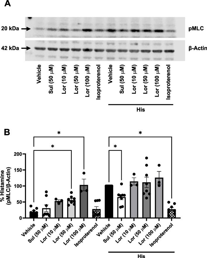 https://cdn.ncbi.nlm.nih.gov/pmc/blobs/2318/12076885/33f835f7c0a1/12931_2025_3268_Fig3_HTML.jpg