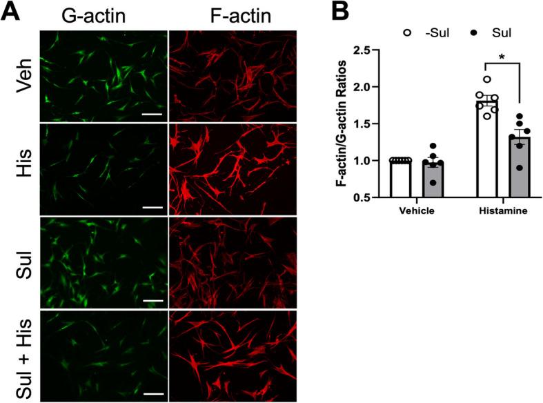 https://cdn.ncbi.nlm.nih.gov/pmc/blobs/2318/12076885/874f79059a16/12931_2025_3268_Fig5_HTML.jpg