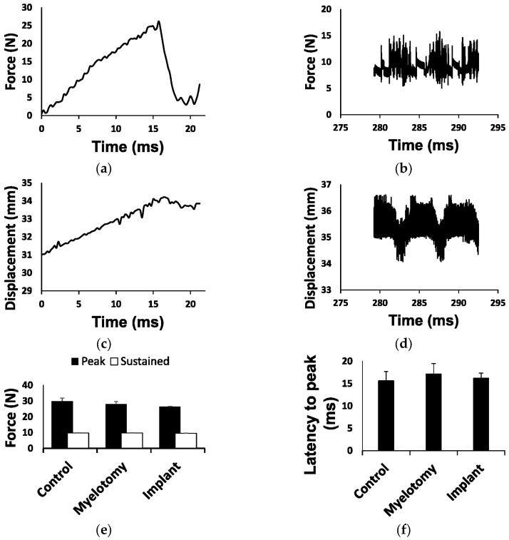 https://cdn.ncbi.nlm.nih.gov/pmc/blobs/231a/10342401/afe1f863fe95/ijms-24-11102-g001a.jpg