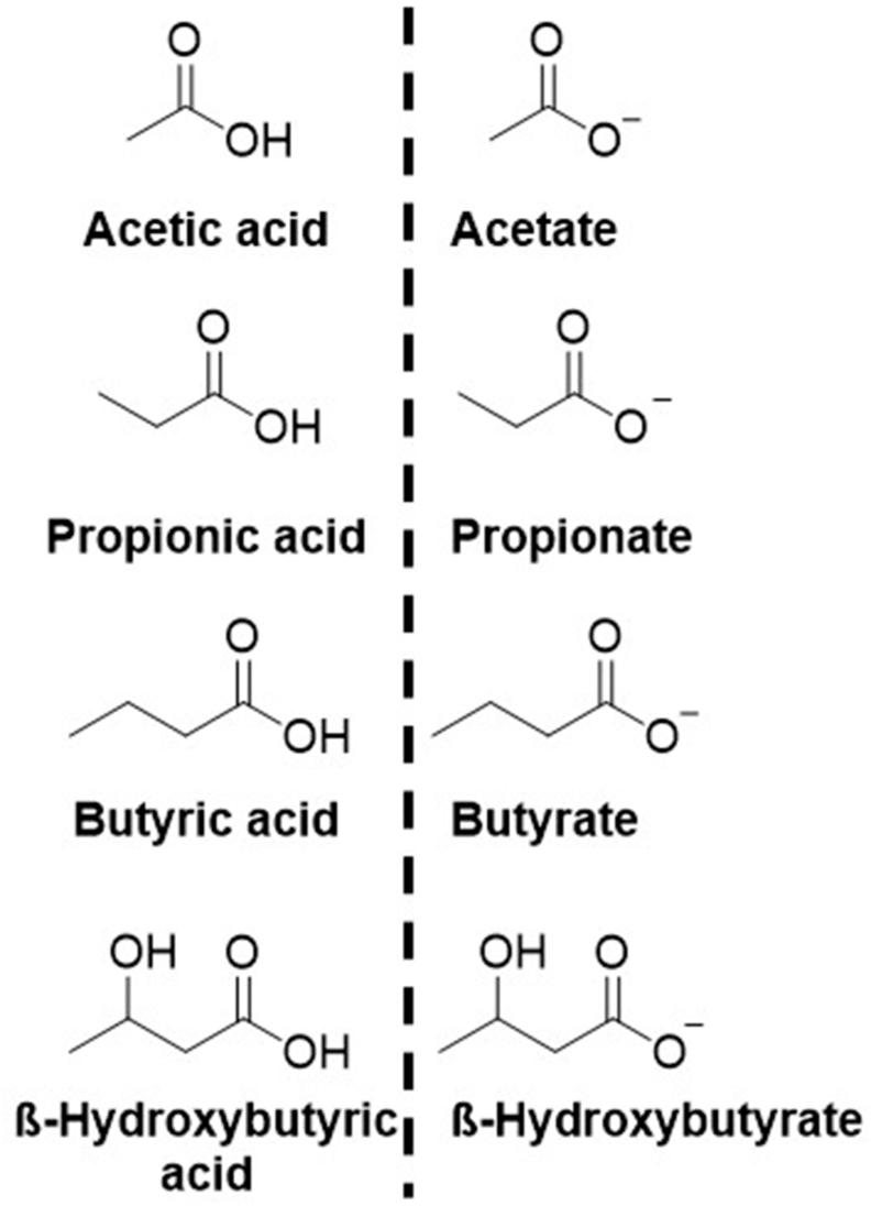 https://cdn.ncbi.nlm.nih.gov/pmc/blobs/231a/10891329/6c235d236eae/gr1.jpg