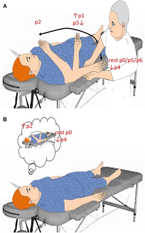 https://cdn.ncbi.nlm.nih.gov/pmc/blobs/231a/5807342/11c7468a31ef/fneur-09-00047-g001.jpg
