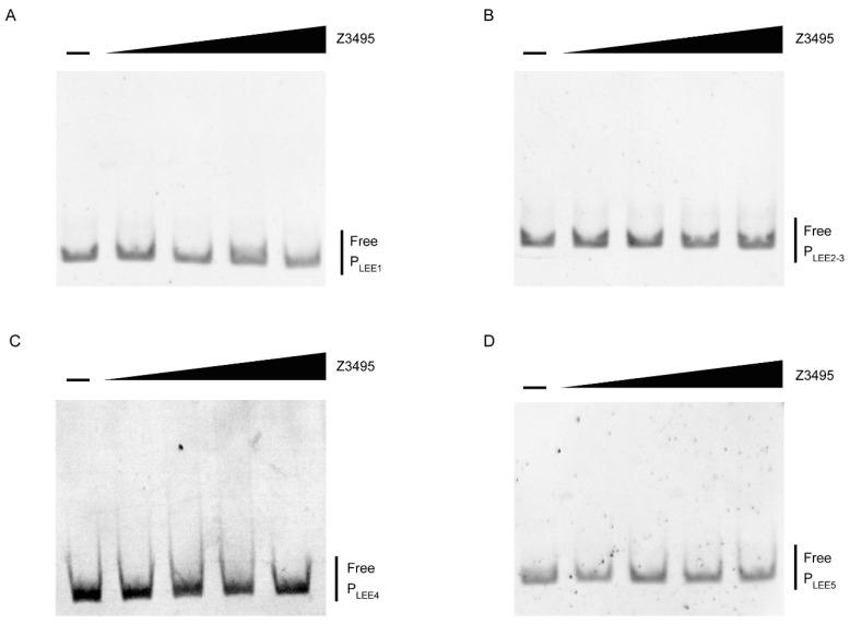 https://cdn.ncbi.nlm.nih.gov/pmc/blobs/2320/10819331/8a004e0a432b/microorganisms-12-00140-g003.jpg