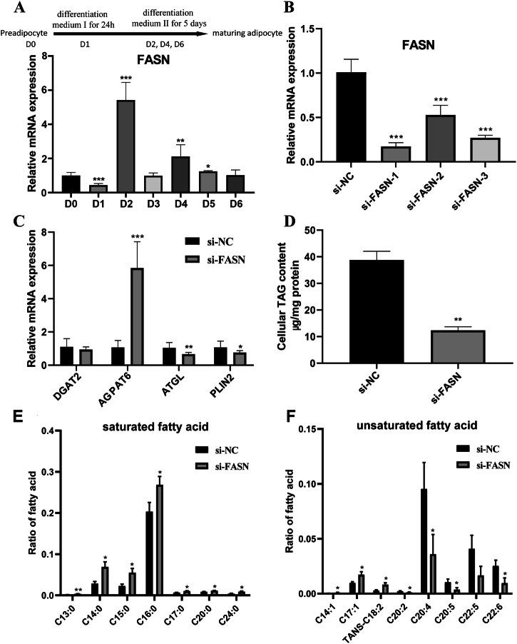 https://cdn.ncbi.nlm.nih.gov/pmc/blobs/2320/11811213/2bbdf798f53c/42003_2025_7604_Fig5_HTML.jpg