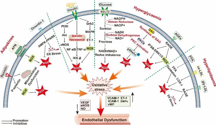 https://cdn.ncbi.nlm.nih.gov/pmc/blobs/2322/10475205/0811a7a66ed8/12933_2023_1965_Fig2_HTML.jpg