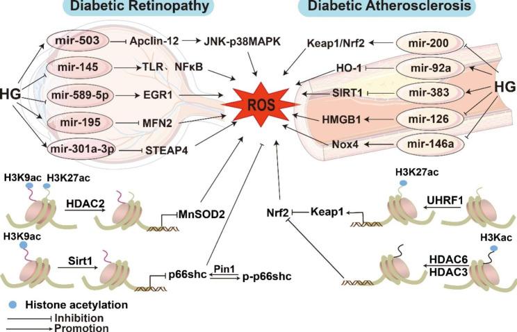 https://cdn.ncbi.nlm.nih.gov/pmc/blobs/2322/10475205/7610af3980ce/12933_2023_1965_Fig3_HTML.jpg