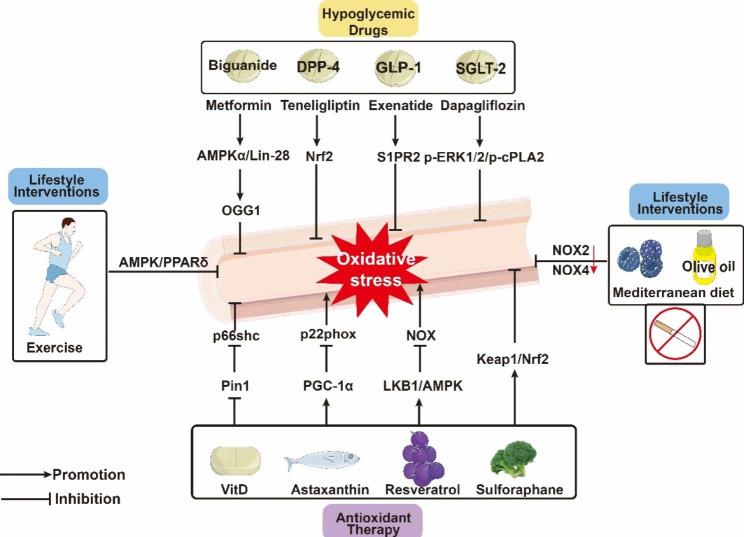 https://cdn.ncbi.nlm.nih.gov/pmc/blobs/2322/10475205/939235534955/12933_2023_1965_Fig4_HTML.jpg