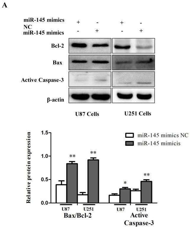 https://cdn.ncbi.nlm.nih.gov/pmc/blobs/2323/5617441/f10f823c692d/oncotarget-08-61510-g005.jpg