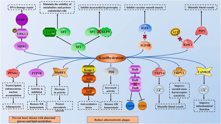https://cdn.ncbi.nlm.nih.gov/pmc/blobs/2327/10363594/77e88648ffcf/gr2.jpg