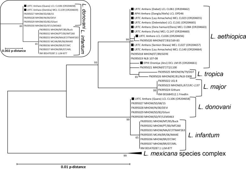 https://cdn.ncbi.nlm.nih.gov/pmc/blobs/2327/10725588/0a42ef32f75c/13071_2023_6057_Fig3_HTML.jpg