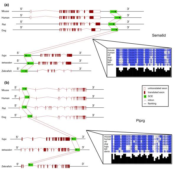 https://cdn.ncbi.nlm.nih.gov/pmc/blobs/232a/1779573/5bcb01dd8d8a/gb-2006-7-7-r56-3.jpg