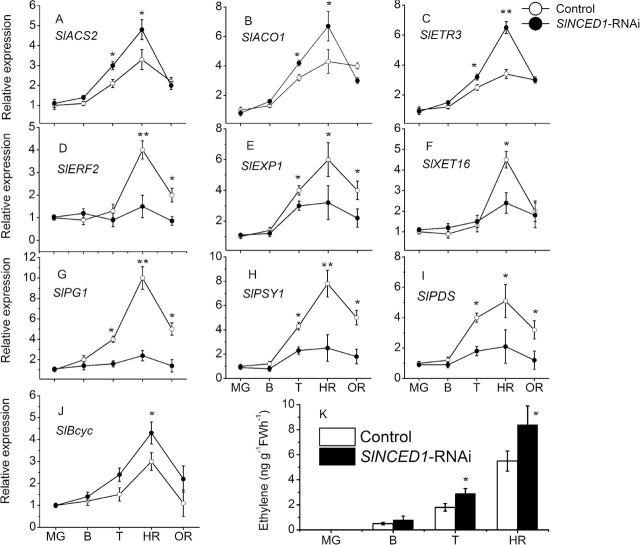 https://cdn.ncbi.nlm.nih.gov/pmc/blobs/232a/4157709/16ee09e0c895/exbotj_eru288_f0007.jpg