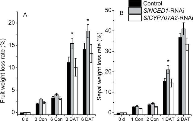 https://cdn.ncbi.nlm.nih.gov/pmc/blobs/232a/4157709/d325104ce58f/exbotj_eru288_f0011.jpg