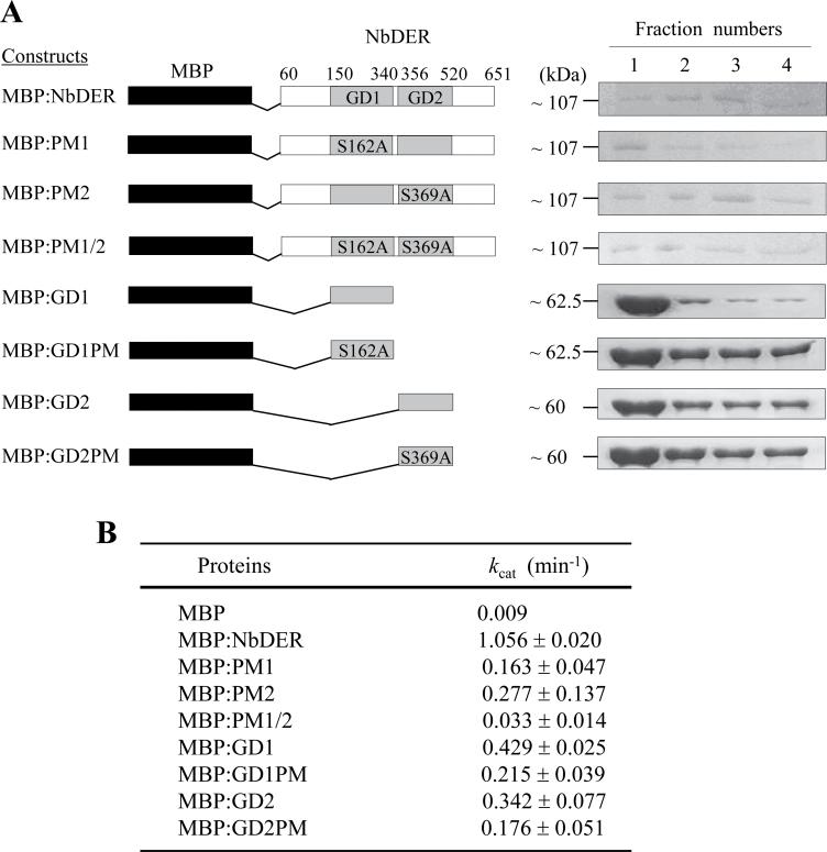 https://cdn.ncbi.nlm.nih.gov/pmc/blobs/232b/3883289/94ed3cde491a/exbotj_ert360_f0002.jpg