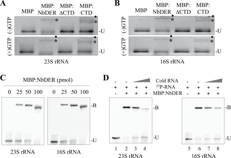 https://cdn.ncbi.nlm.nih.gov/pmc/blobs/232b/3883289/d1a4994a07de/exbotj_ert360_f0006.jpg