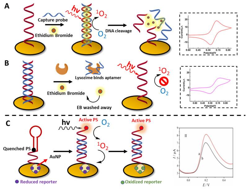 https://cdn.ncbi.nlm.nih.gov/pmc/blobs/232b/8838016/05cc4aede9b9/molecules-27-00778-g014.jpg