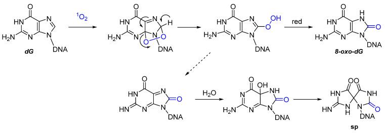 https://cdn.ncbi.nlm.nih.gov/pmc/blobs/232b/8838016/1bbc58b2cce8/molecules-27-00778-g004.jpg