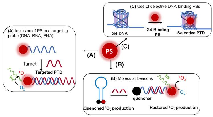 https://cdn.ncbi.nlm.nih.gov/pmc/blobs/232b/8838016/53370a9cd8ab/molecules-27-00778-g019.jpg