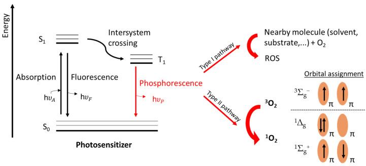 https://cdn.ncbi.nlm.nih.gov/pmc/blobs/232b/8838016/5e4285f2ccc5/molecules-27-00778-g001.jpg