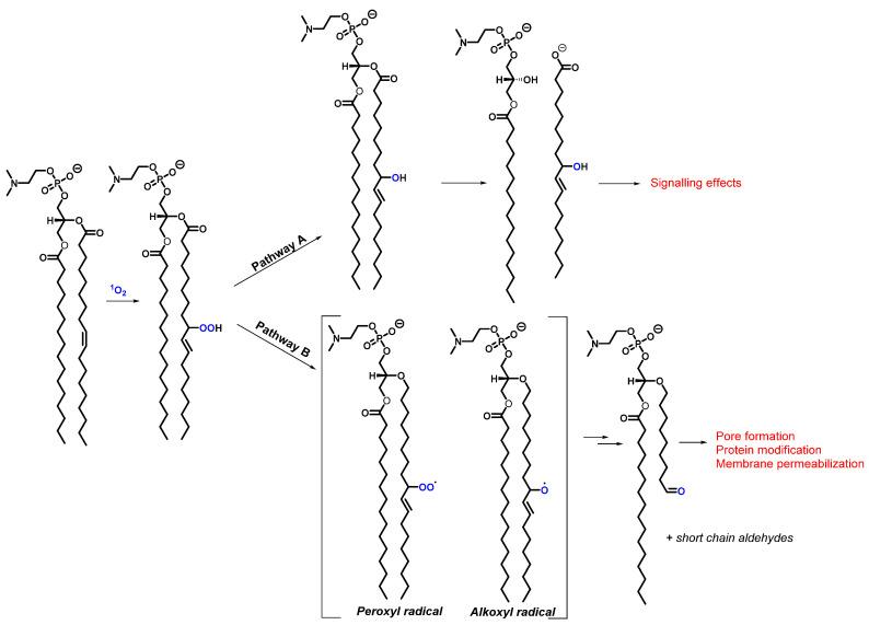 https://cdn.ncbi.nlm.nih.gov/pmc/blobs/232b/8838016/9770b5385634/molecules-27-00778-g007.jpg