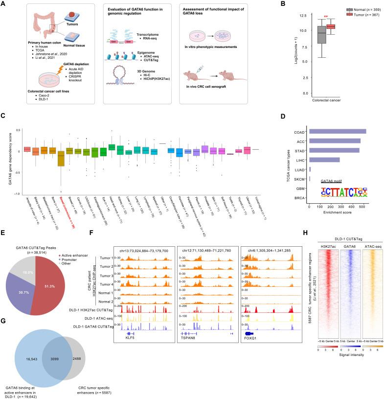 https://cdn.ncbi.nlm.nih.gov/pmc/blobs/232c/11804904/3c9df68c4e5e/sciadv.ads4985-f1.jpg