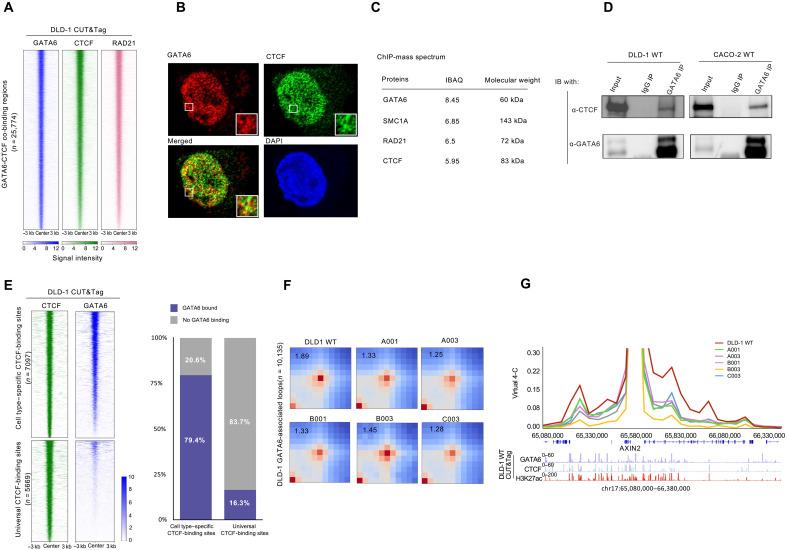 https://cdn.ncbi.nlm.nih.gov/pmc/blobs/232c/11804904/596cad667838/sciadv.ads4985-f2.jpg