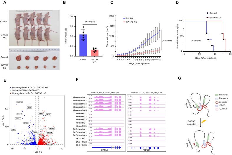 https://cdn.ncbi.nlm.nih.gov/pmc/blobs/232c/11804904/9f95fab50f66/sciadv.ads4985-f5.jpg