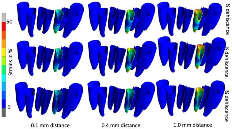 https://cdn.ncbi.nlm.nih.gov/pmc/blobs/2331/11766378/da0c60633cce/jfb-16-00001-g005.jpg