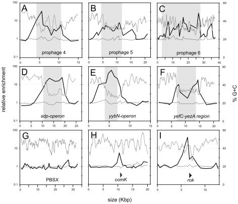https://cdn.ncbi.nlm.nih.gov/pmc/blobs/2331/2978689/2ebe312c2a40/pgen.1001207.g003.jpg