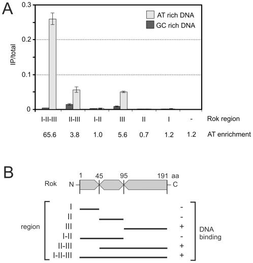 https://cdn.ncbi.nlm.nih.gov/pmc/blobs/2331/2978689/b9dd77b306eb/pgen.1001207.g004.jpg