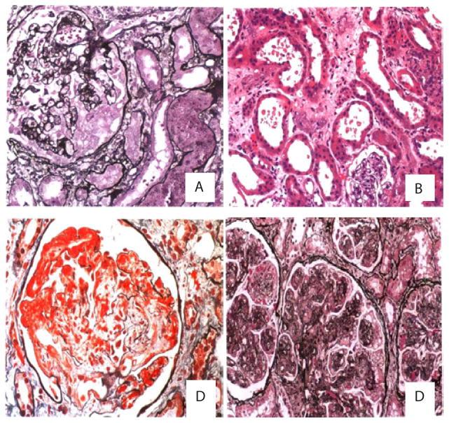 https://cdn.ncbi.nlm.nih.gov/pmc/blobs/2334/4718575/494731bd7736/nihms474999f1.jpg