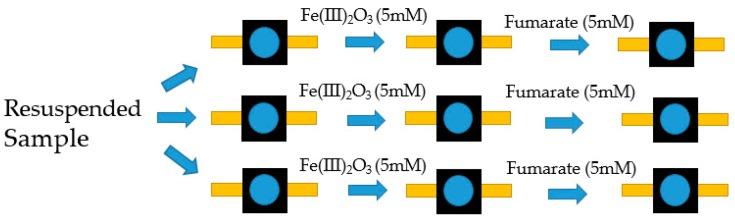 https://cdn.ncbi.nlm.nih.gov/pmc/blobs/2334/6384720/1e6f95545d64/molecules-24-00646-g011.jpg